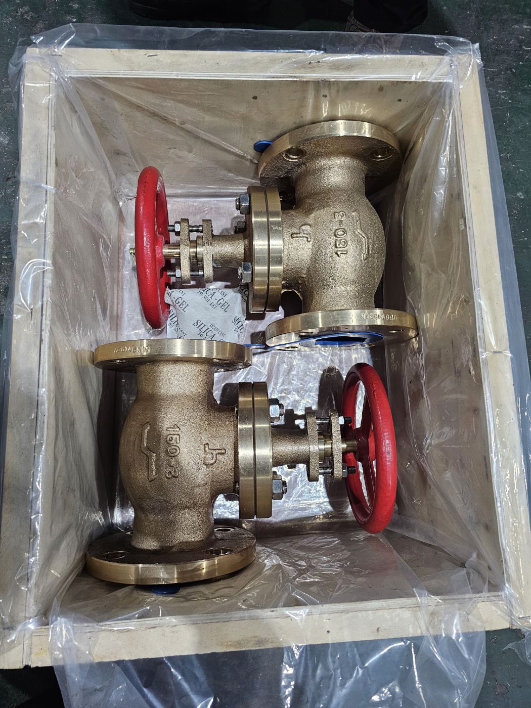 Globe Valve